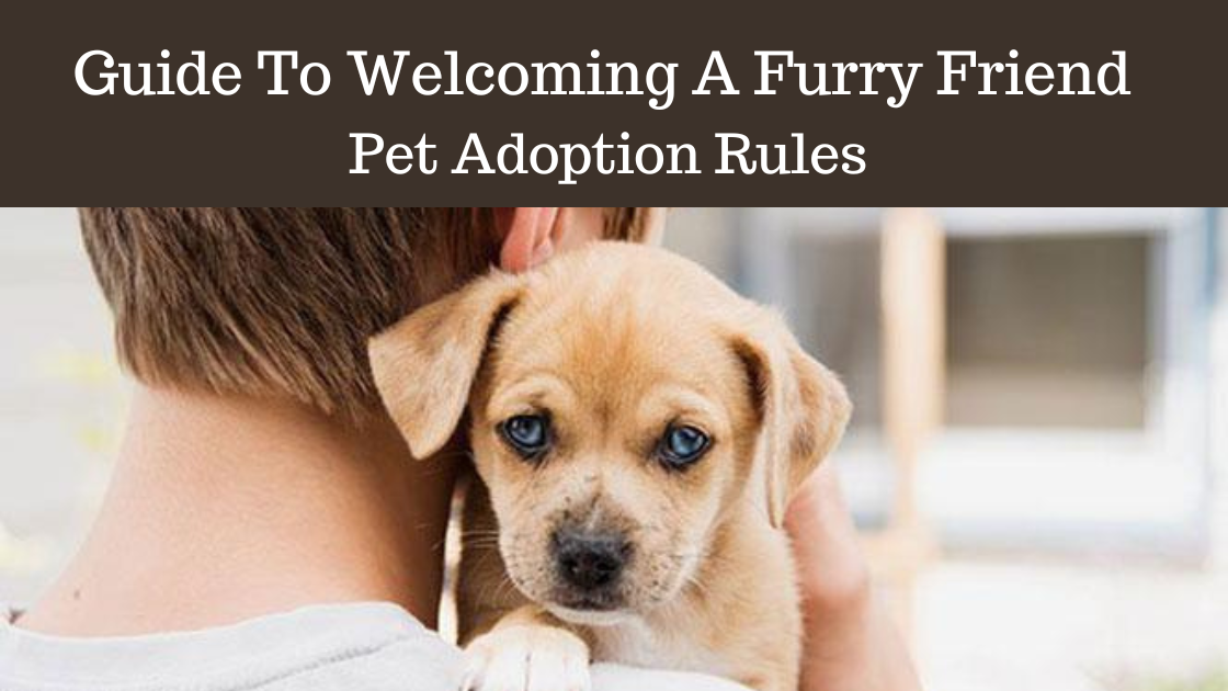 Guide to welcoming a furry friend pet adoption Rules