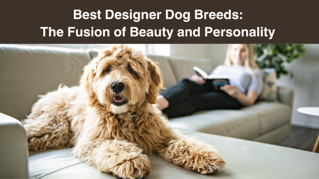 designer dog breed