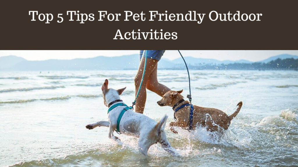 Top 5 Tips for pet friendly outdoor Activities