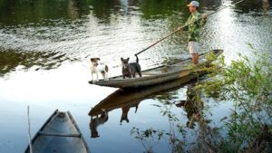 pet-friendly-outdoor-activities