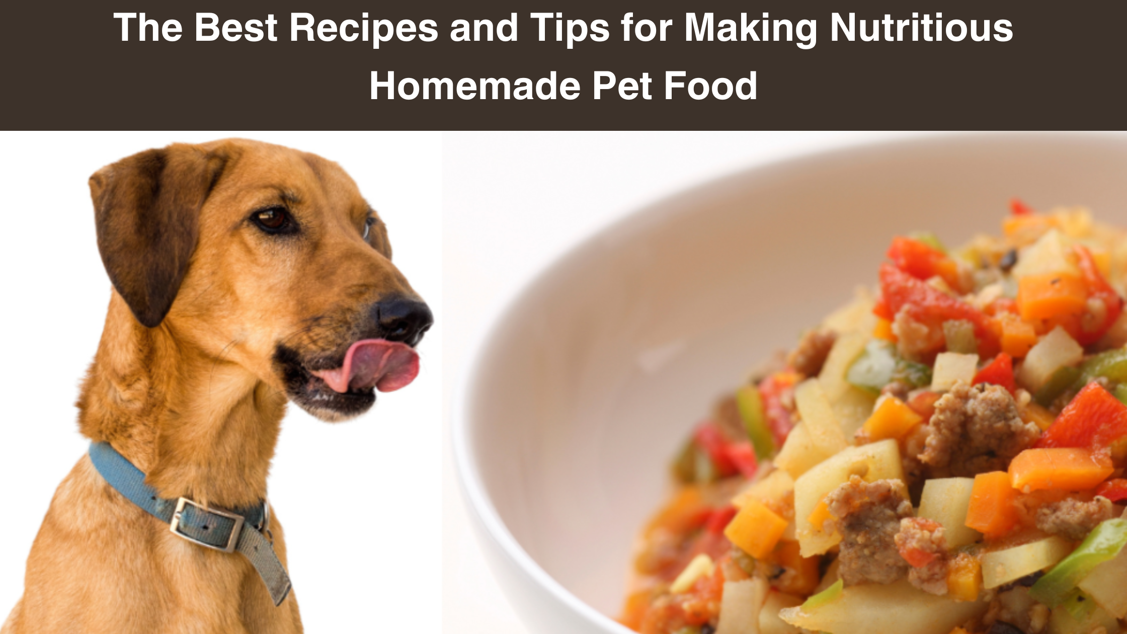The-Best-Recipes-and Tips-for-Making- Nutritious- Homemade-Pet- Food