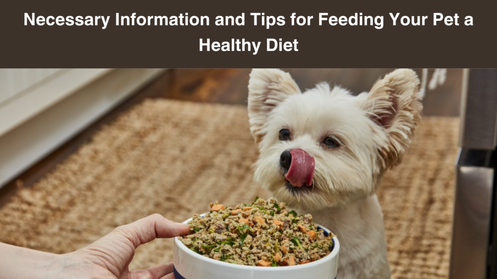 Necessary-Information-and-Tips for-Feeding-Your-Pet a-Healthy-Diet