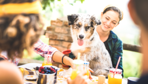 Dog-Friendly-Restaurant