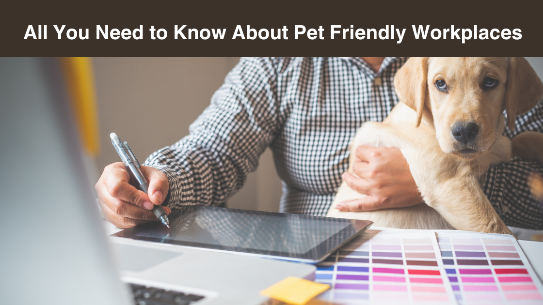 All You Need to Know About Pet Friendly Workplaces