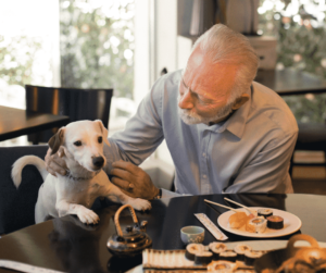 Dining-Out-With-Your-Pet