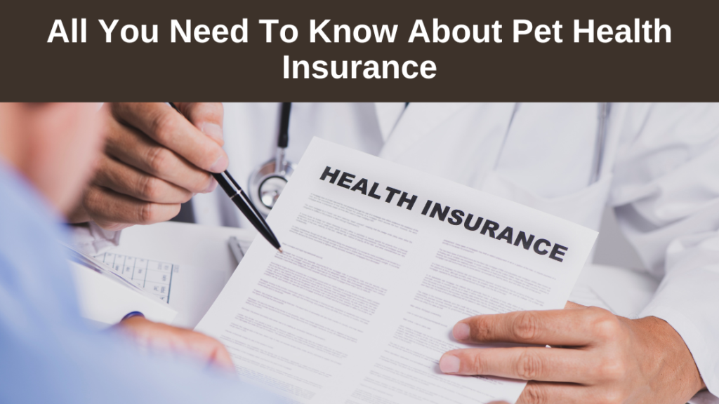 All-You-Need-to Know-About-Pet Health-Insurance