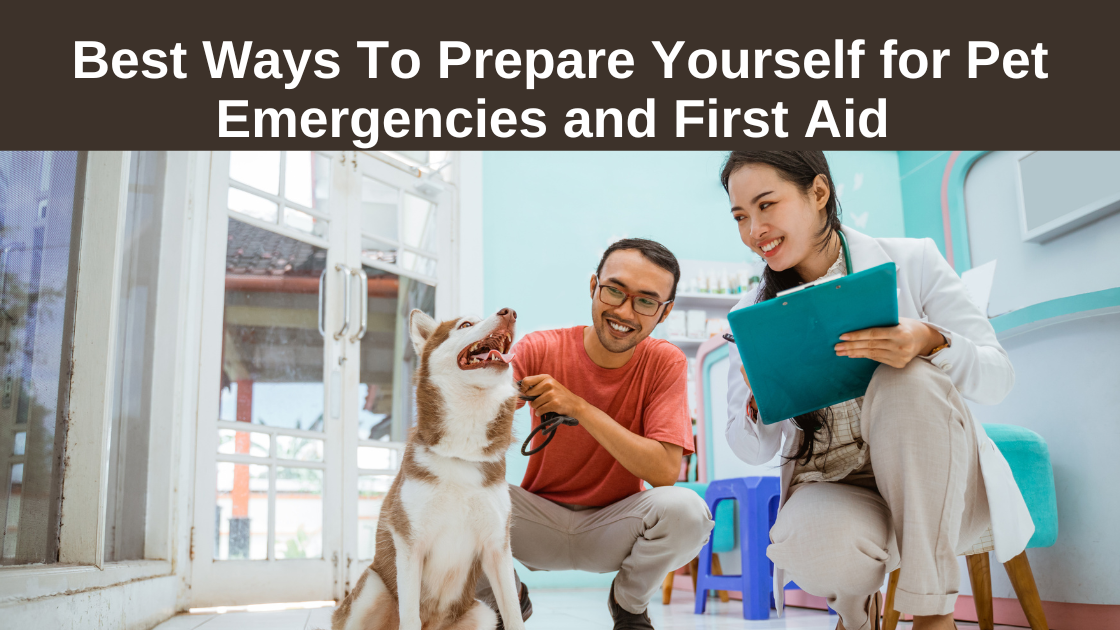 Best-Ways-To- Prepare-Yourself-for Pet-Emergencies-and First-Aid