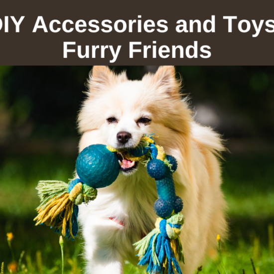 Making-DIY-Accessories-and-Toys-for-Your-Furry-Friends