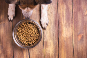 healthy dog food