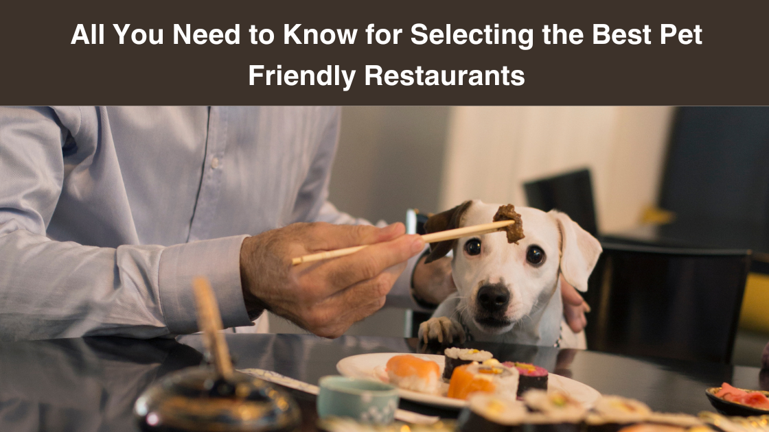 All-You-Need-to-Know-for-Selecting-the-Best-Pet-Friendly -Restaurants