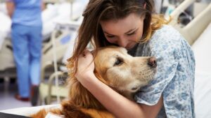 pet-therapy-mental-health