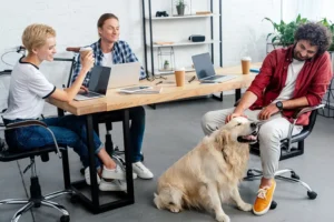Change-To-Pet-Friendly-Workplaces-To-Go-Smoothly