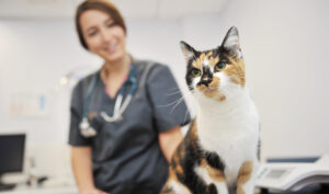 Pet-Veterinarian-Referral