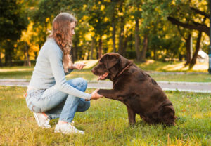 Important Techniques for the Dog Trainer 