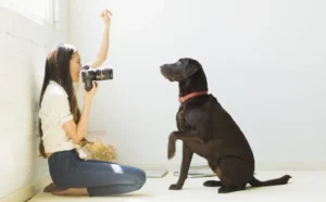 Pet-Photography