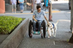 Mobility-Assistance-Dogs