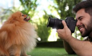 Pet-Photography