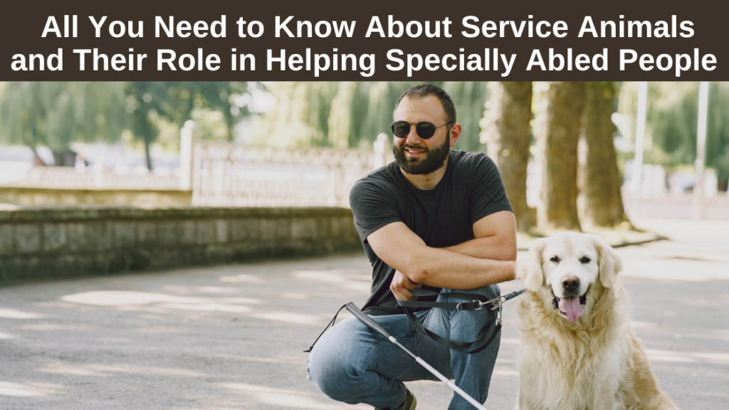 What-you-Need-To-Know-About-Service-Animal-Training
