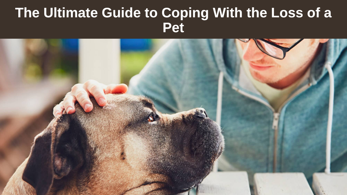 The-Ultimate-Guide-to-Coping-With-the-Loss-of-a-Pet