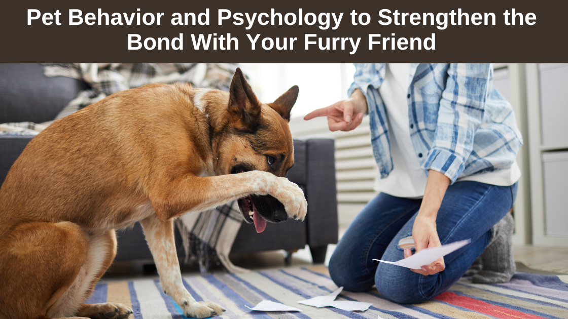 Pet-Behavior-and-Psychology-to-Strengthen-the-Bond-With-Your-Furry-Friend