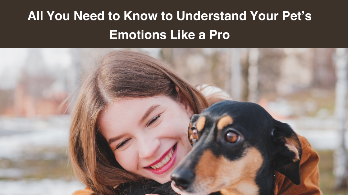 All You Need to Know to Understand Your Pet’s Emotions Like a Pro