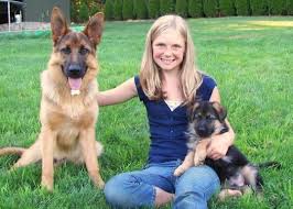 German-Shepherds-as Family-Pets