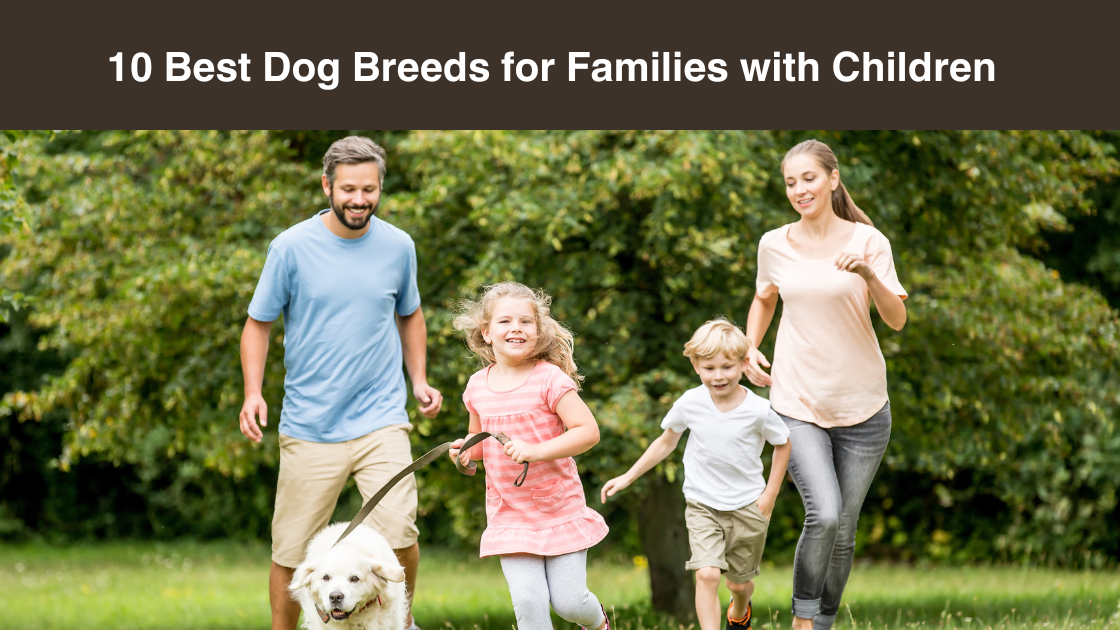 10-Best-Dog-Breeds for-Families-with Children