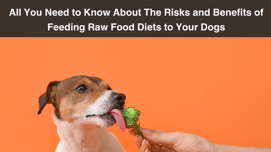 All-You-Need-to Know-About-The Risks-and-Benefits-of Feeding Raw Food Diets-to-Your-Dogs