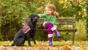 Hearing-Dogs-for-the-Deaf