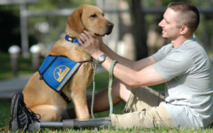 Psychiatric-Service-Dogs