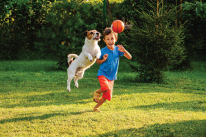 Top-6-Dog-Sports-and Activities