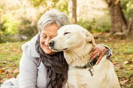 canine-friends-for-the elderly