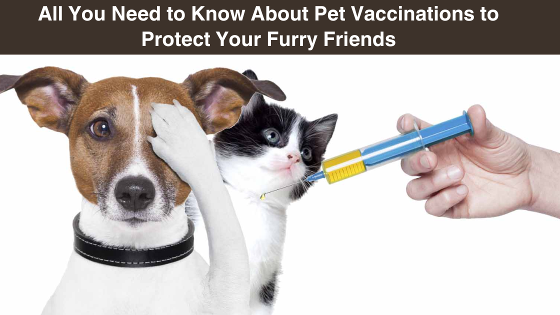 All You Need to Know About Pet Vaccinations to Protect Your Furry Friends