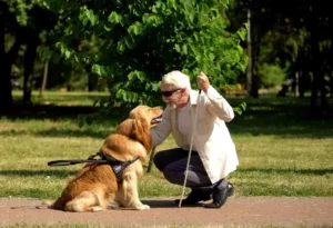 seizure-response-dogs