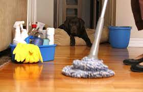 pet-friendly-cleaning solutions