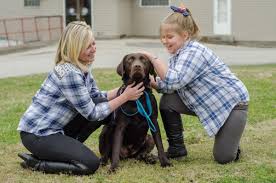 seizure-response-dogs