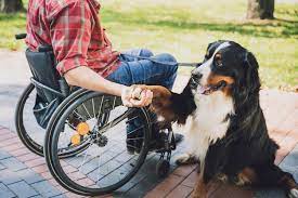 particular-tasks-and disabilities