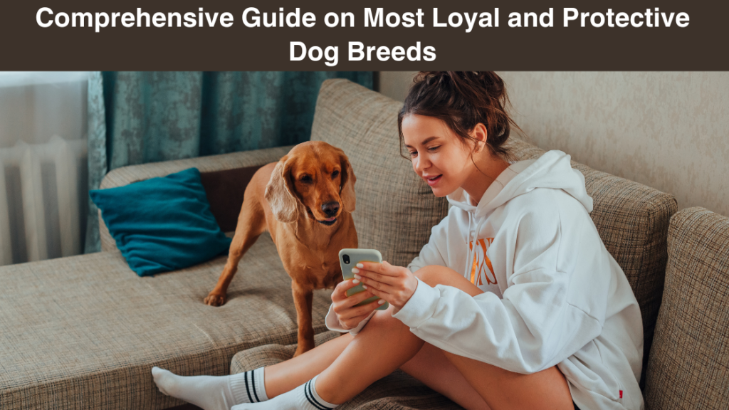 Comprehensive Guide on Most Loyal and Protective Dog Breeds