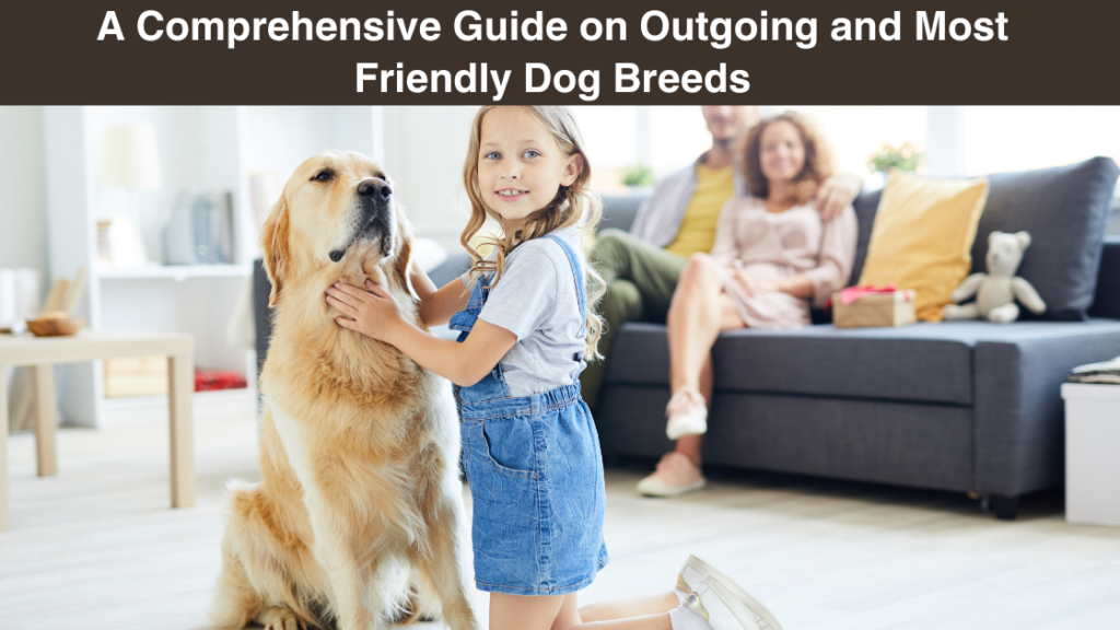 A-Comprehensive Guide-on-Outgoing and-Most-Friendly Dog-Breeds
