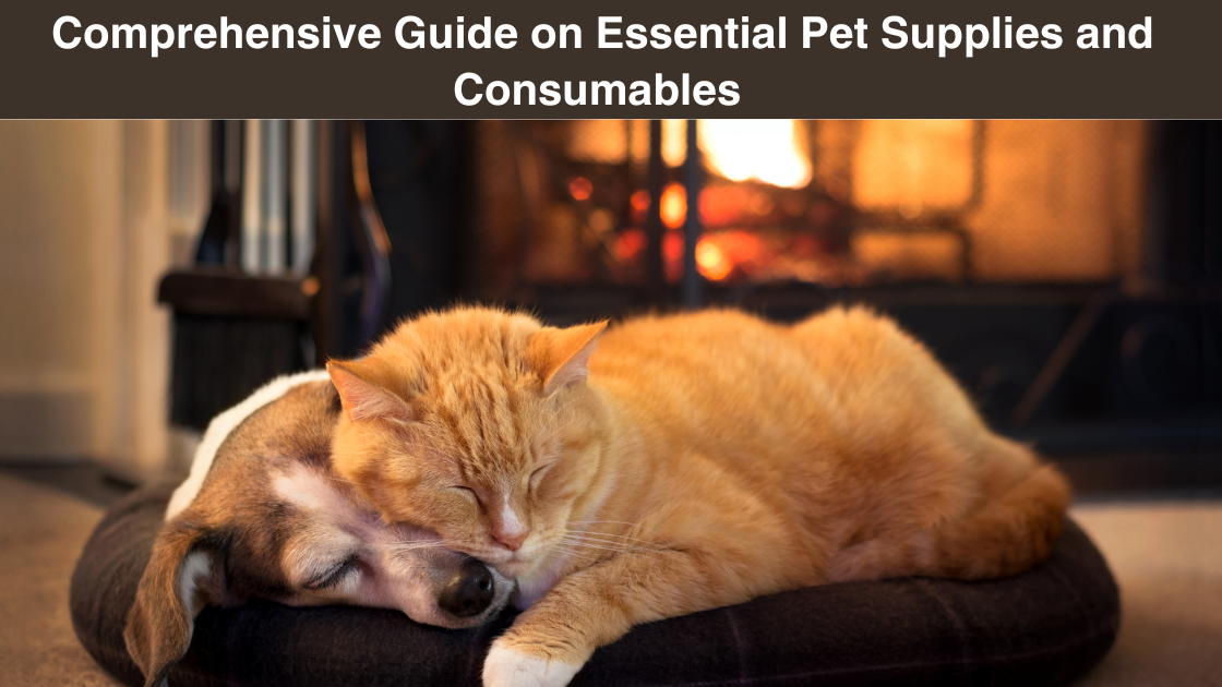comprehensive-guide on-essential-pet supplies-and consumables