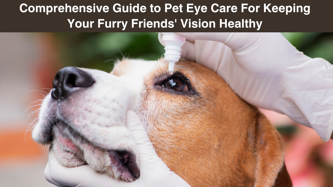 comprehensive-guide to-pet-eye-care-for keeping-your-furry friends'-vision- healthy