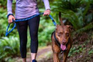 exercise-and-going outdoor