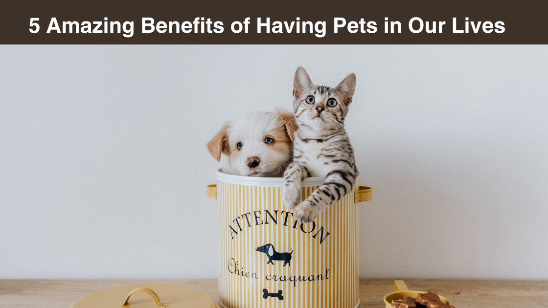 5-amazing-benefits- of-having-pets-in- our-lives