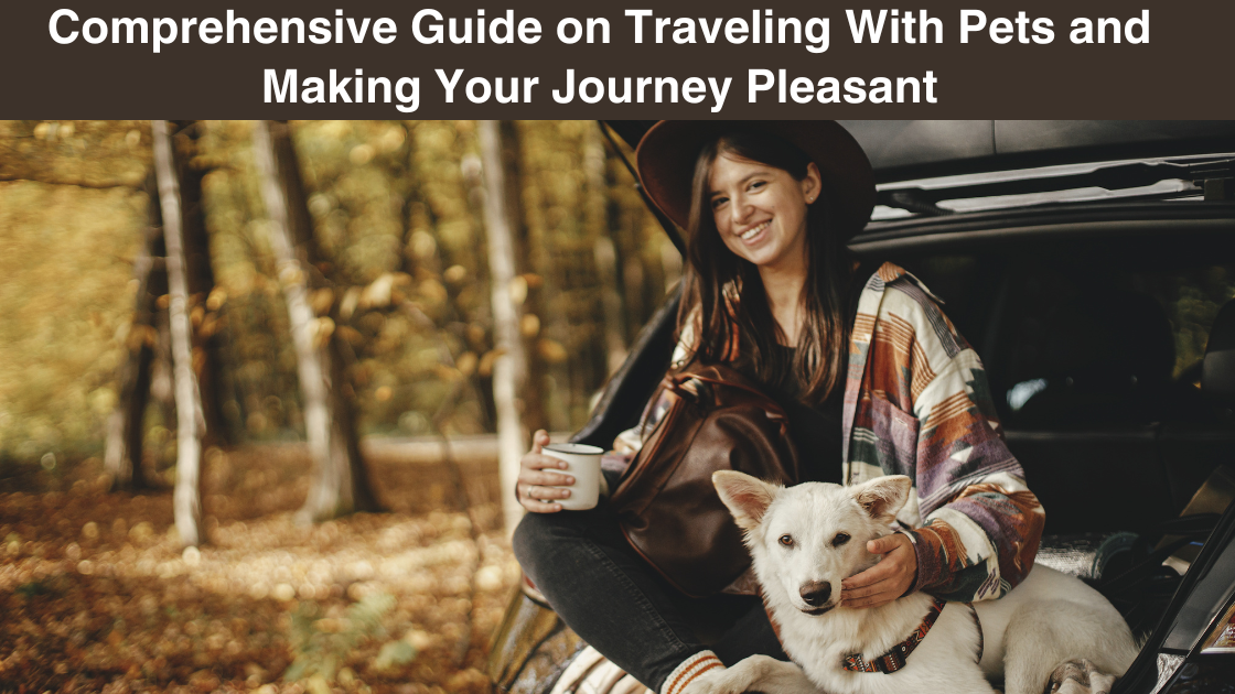 comprehensive- guide-on-traveling with-pets-and- making-your-journey pleasant