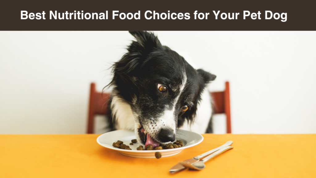 best-nutritional-food choices-for-your-pet- dog