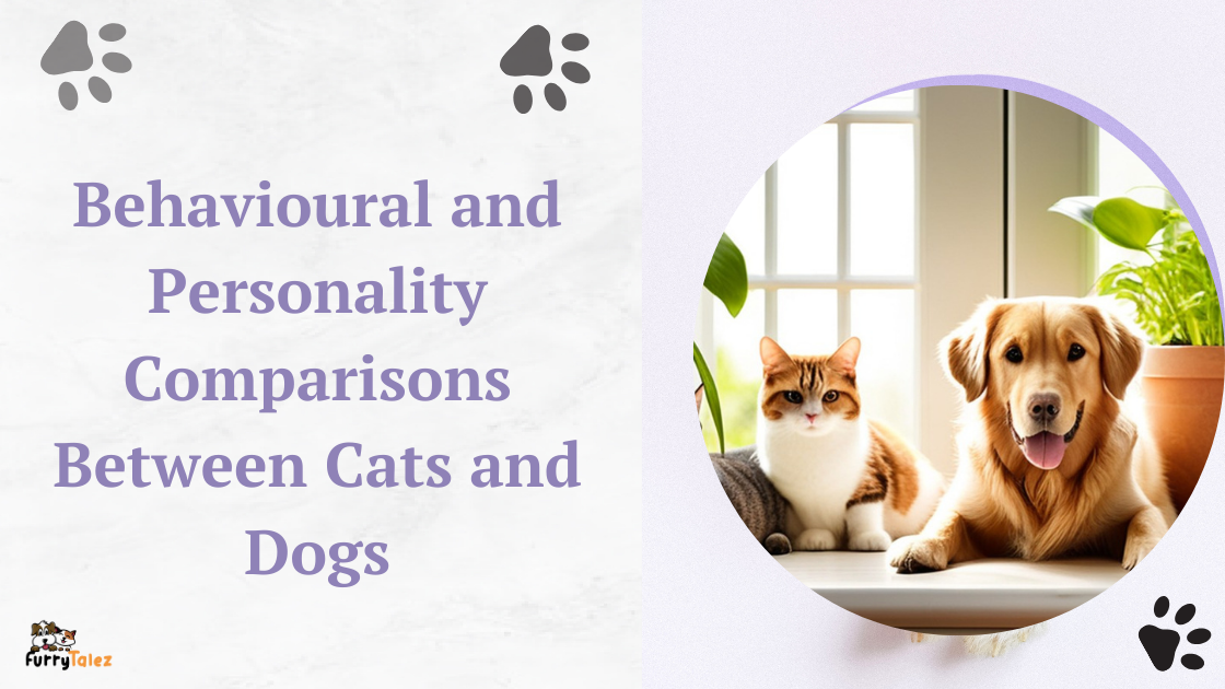 behavioral-and personality- comparisons-between cats-and-dogs