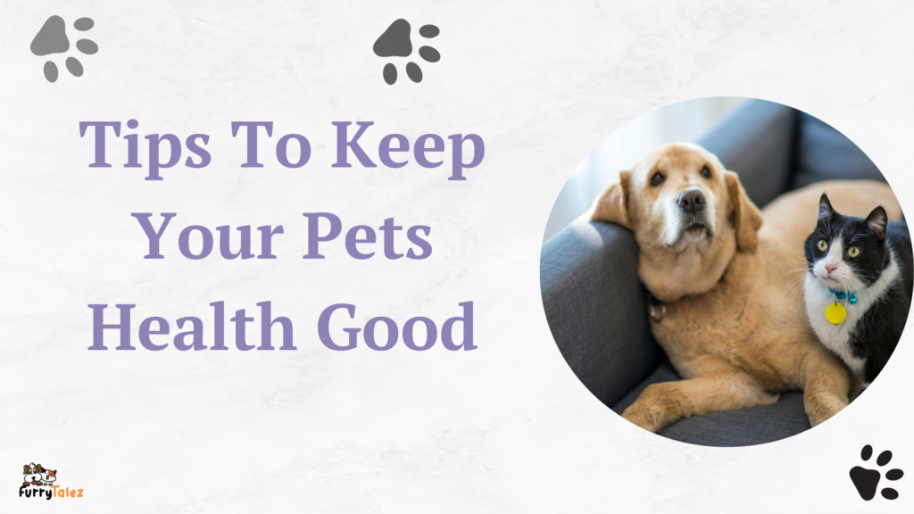 tips-to-Keep-your-pets-health-good