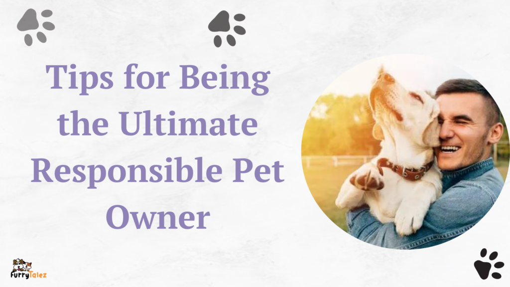 tips-for-being-the -ultimate-responsible -pet-owner
