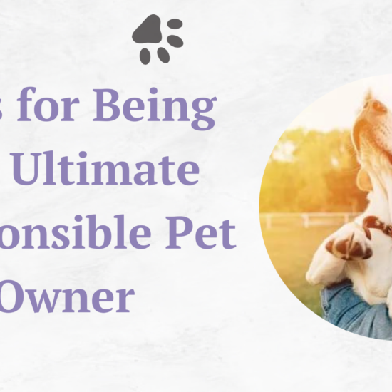 tips-for-being-the -ultimate-responsible -pet-owner