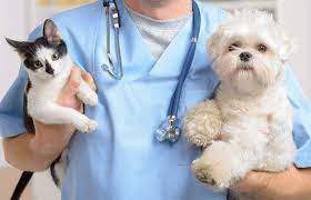 take-your-pet-for- regular-health-checkups